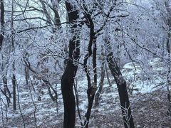 -沂蒙山旅游区龟蒙景区