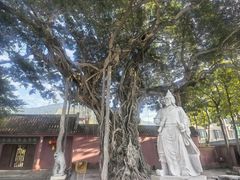 -闽粤南澳总镇府