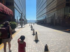 -香港皇家太平洋酒店