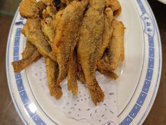 -老雒阳面馆·水席(洛宁高速路口店)