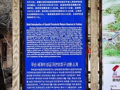 -三块石国家森林公园