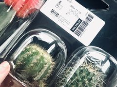 -宜家家居(高新商场店)