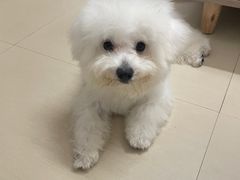 -K+全国连锁KTV(绿地缤纷天地店)
