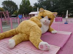 -渔岛海洋度假区