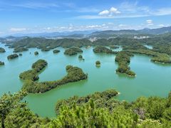 -浔味·山屿湖·正宗全鱼宴老字号