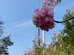 -金龙寺国家森林公园