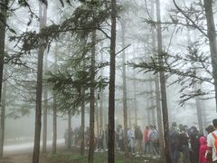 -白草畔自然风景区