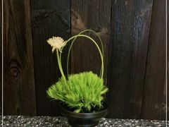 -灶咖KITCHEN