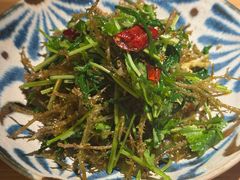 野生鹿角菜沙葱-纳鲁孜·新疆特色餐厅(上海悦荟广场店)