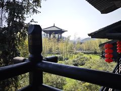-大唐贡茶院