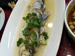 -新开元大酒店(花雨路店)