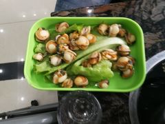 -蚝专家
