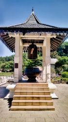 -广州美莱医疗美容医院