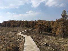 -驼梁风景区