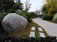 -郑东新区湿地公园
