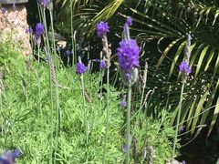 -厦门日月谷温泉渡假村