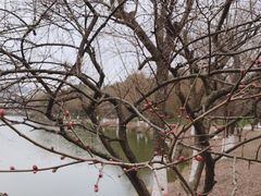 -浙江农林大学(东湖校区)