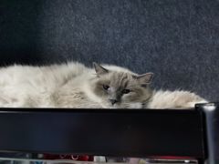 -零纪元VR体验馆·桌游(黄浦店)