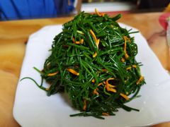 -苏莱特色牛骨滩羊手抓馆(长城东街总店)