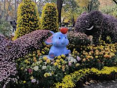 -共青国家森林公园-南大门停车场