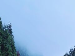 -重庆睡佛山森林公园