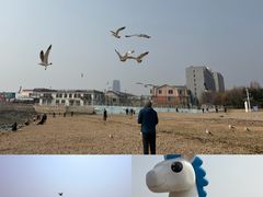 -黑石礁公园