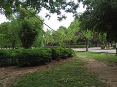 -洛阳市隋唐城遗址植物园
