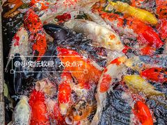 -新世纪大酒楼·30年南海菜