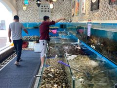 -港畔赶海蒸汽海鲜烧烤自助(仙螺岛店)