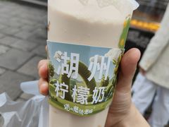-猫的魔法密林(衣裳街店)