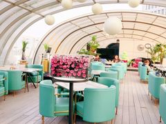 -Hi City·城市之巅