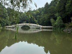 -铁山坪森林公园