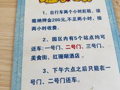 -日照海滨国家森林公园