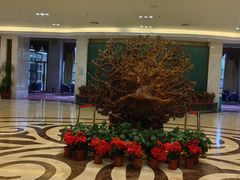 -金孔雀温泉旅游度假村