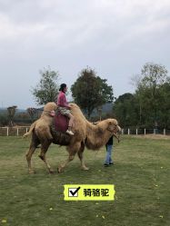 -湖州德清田美树心农乐园