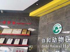 -瑞鹏瑞爱宠物医院·全科·猫科·血液透析中心(龙头寺店)