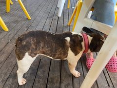 -丰收渔港饭店(嵊泗店)