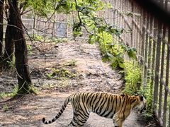 -哈尔滨北方森林动物园