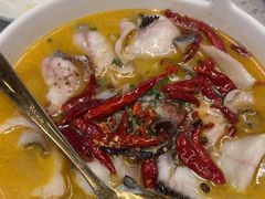 -Aqua Oasis 水天堂(常熟永旺店)