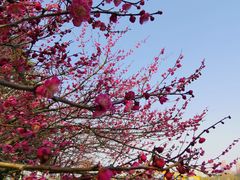 -白塘生态植物园