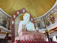 -龙口南山旅游景区