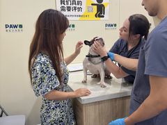 -佩兹宠物医院肿瘤专科·眼科·牙科(黄浦店)
