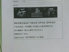 -天时宠物医院24小时疑难病例会诊中心(顾乡大街总院)
