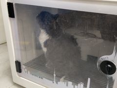 -心仪动物医院·牙专科·肿瘤·心脏科(西客站院)