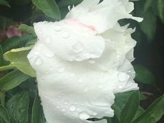 -长春公园(普阳街道)