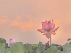 -满堂春特色餐馆