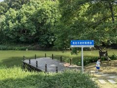-南京老山国家森林公园