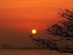 -上海吴淞炮台湾国家湿地公园