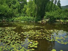 -白马涧龙池景区