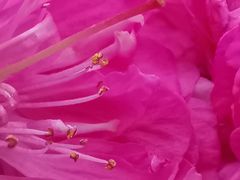 -长春公园(普阳街道)